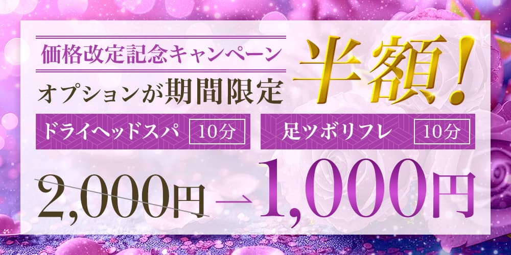 価格改定記念キャンペーン オプションが期間限定半額！