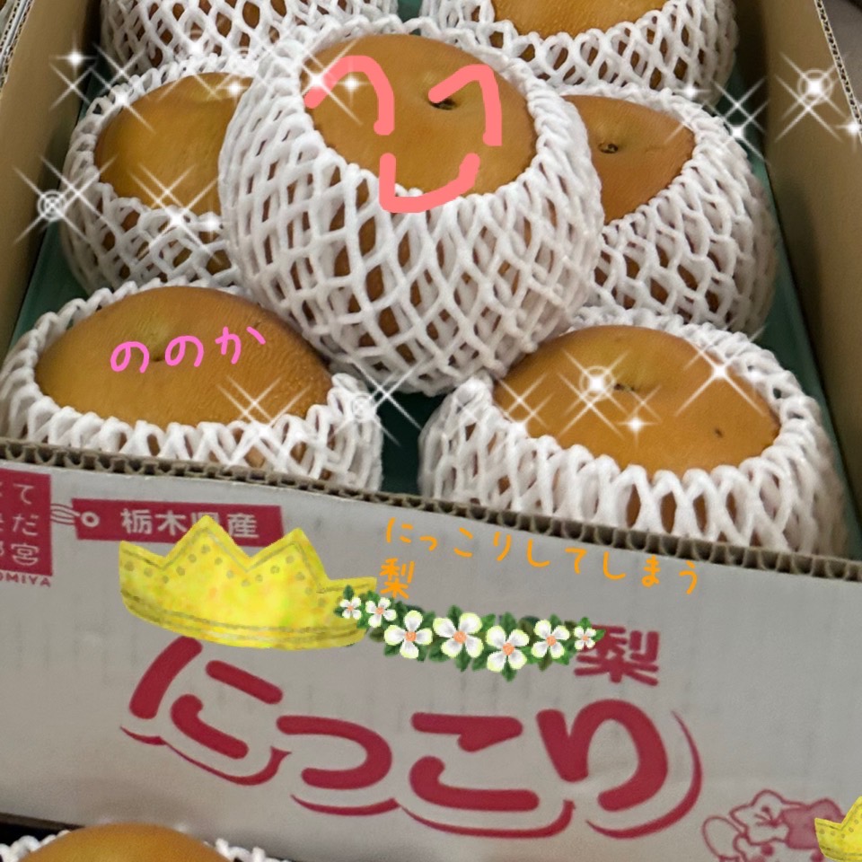 大玉転がし画像