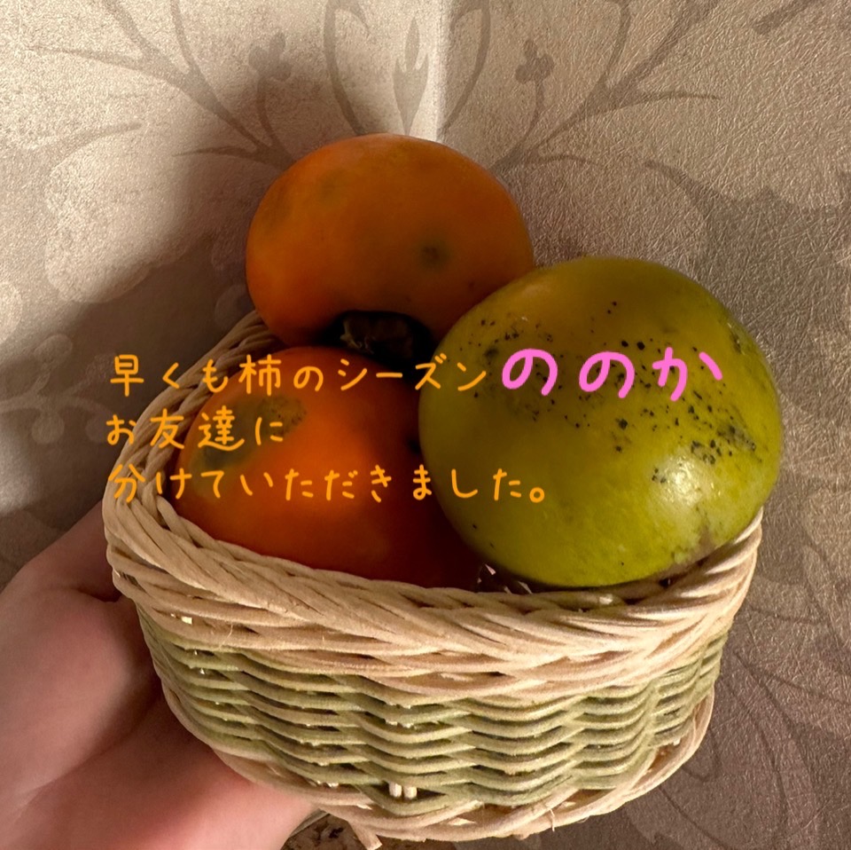 カーキ　緑から柿色へ画像