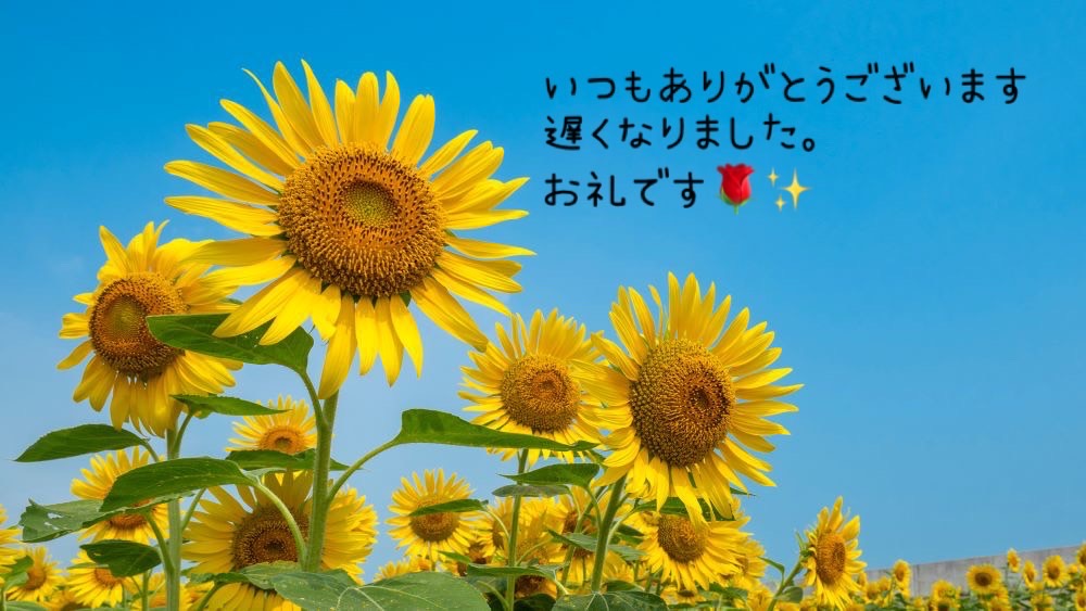 みなみです♪お礼です。画像