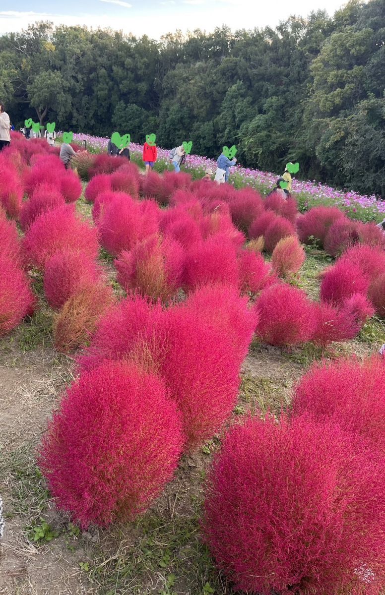 麗子です♡画像