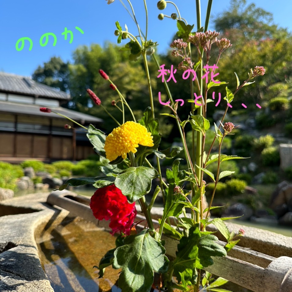 秋口　サラサラ画像