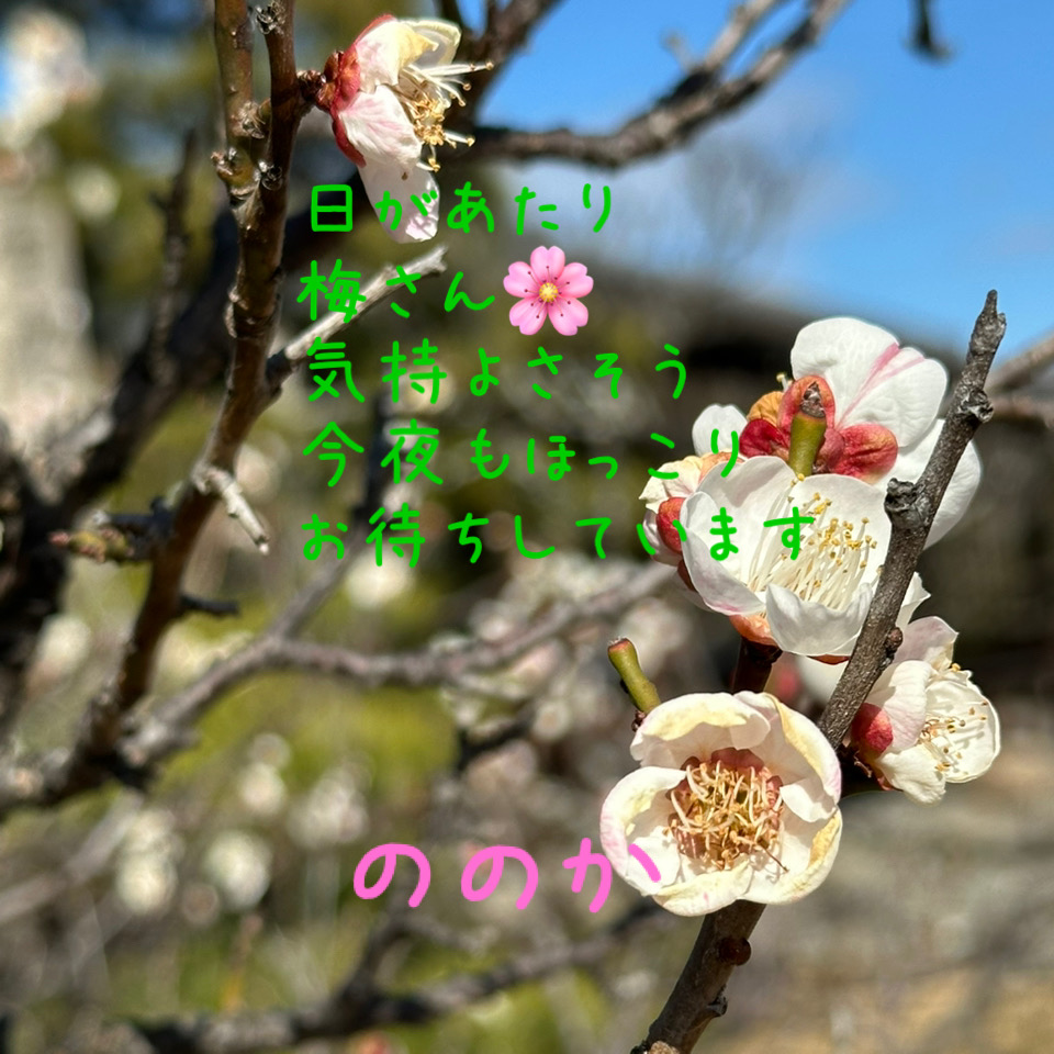 日向ぼっこさん画像