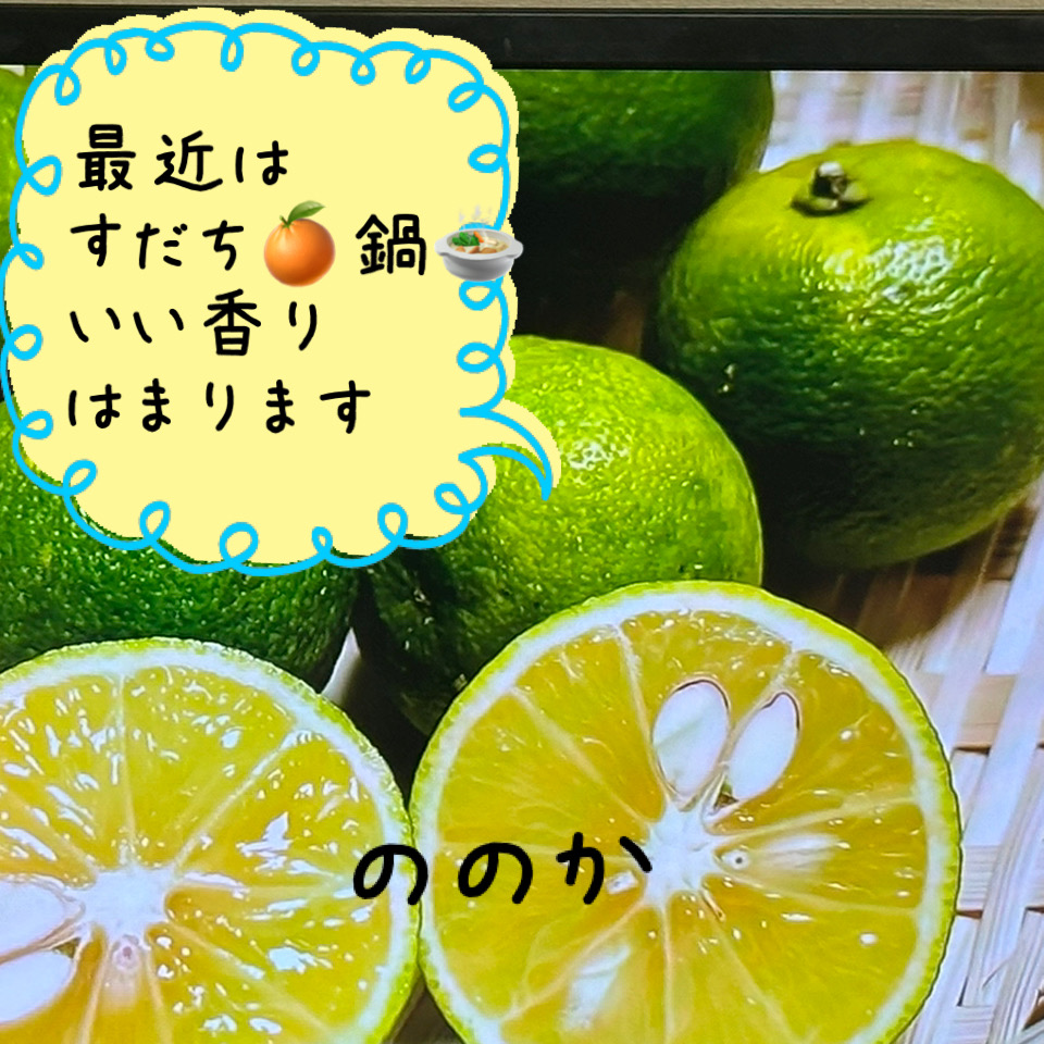 かんきつ画像