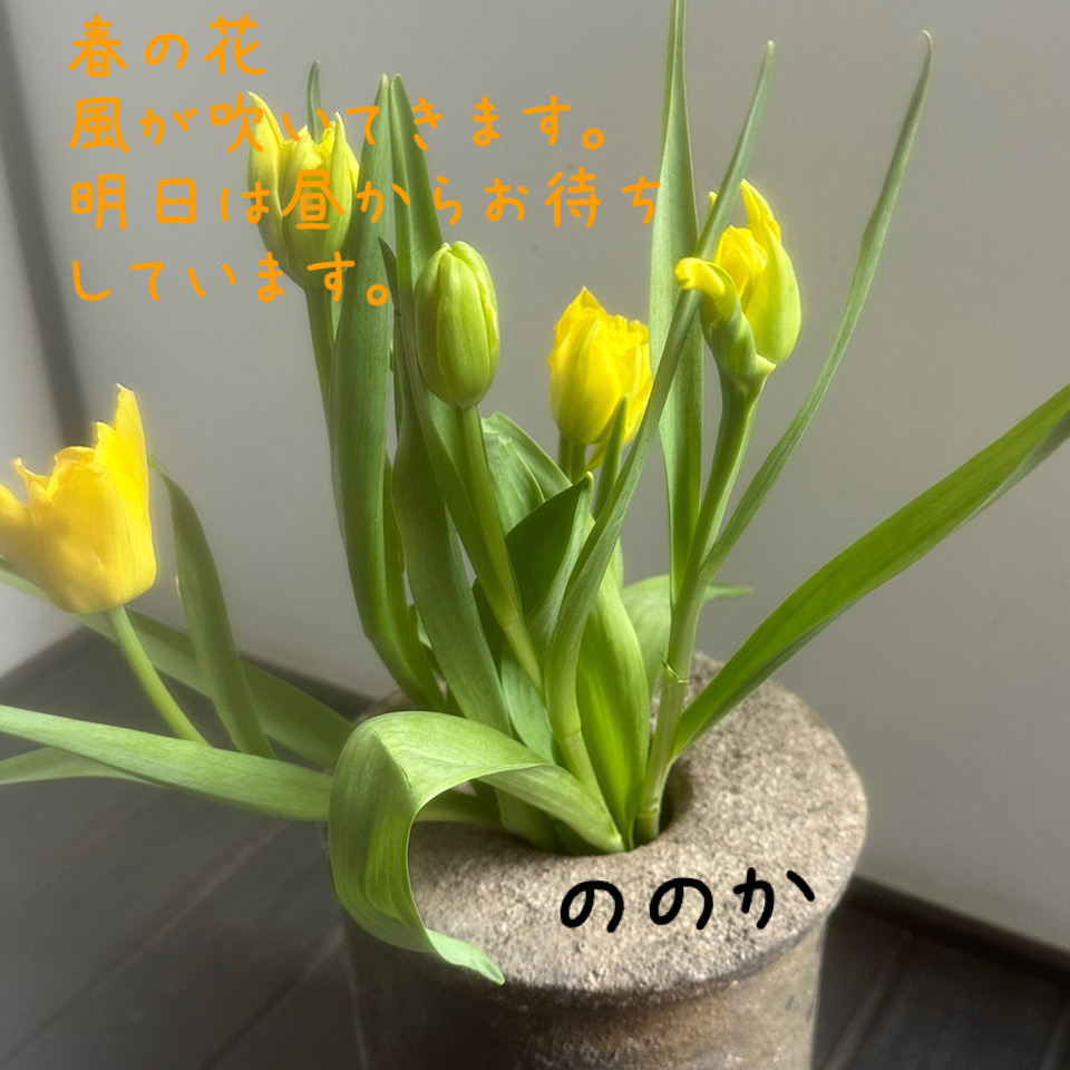 春の黄色画像