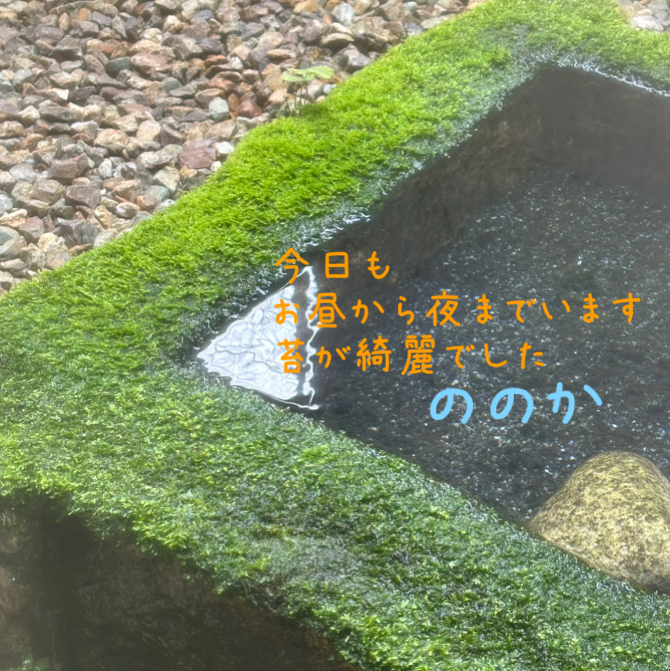 ふち画像