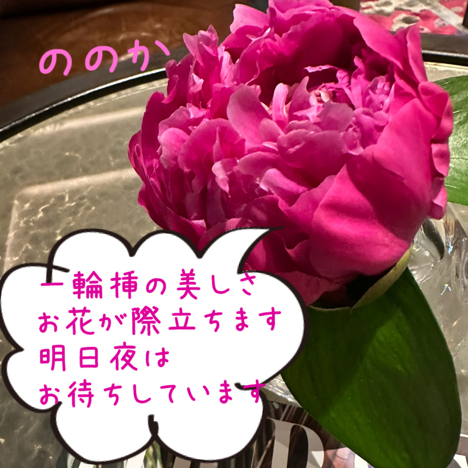 一輪 ちりん画像