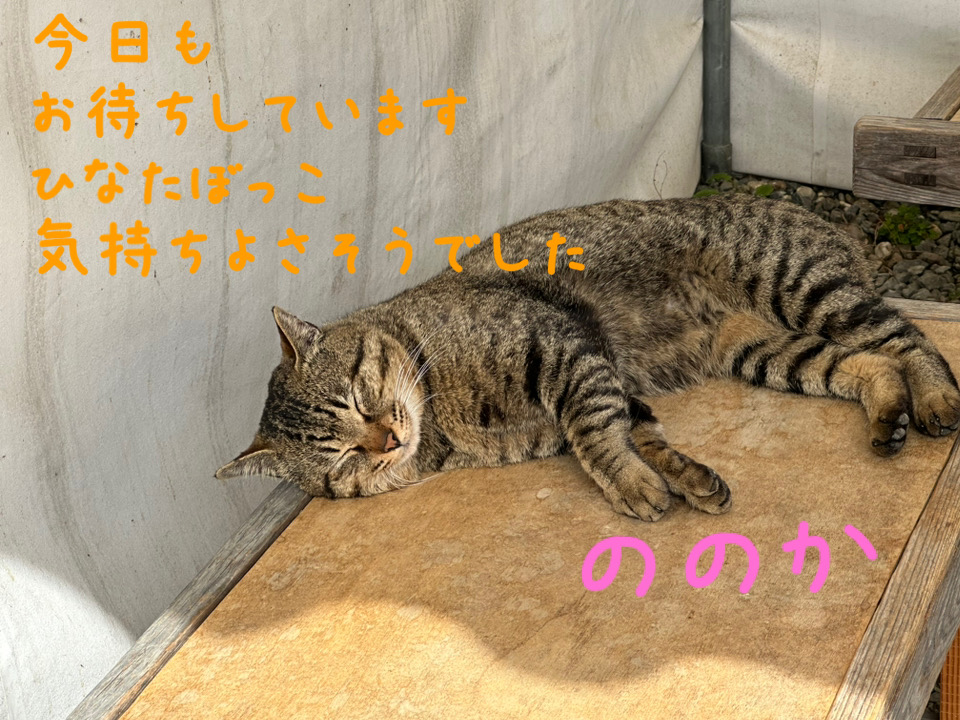 ひなたろ画像