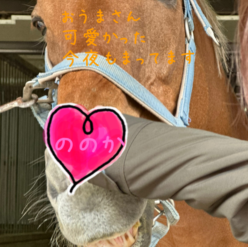 おうま画像