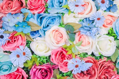 なおです♬画像