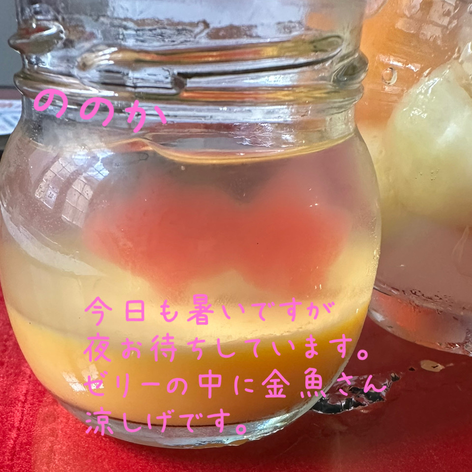夏休みへ 金魚画像