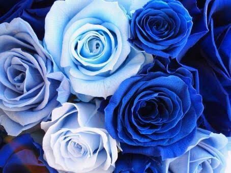 なおです♬画像