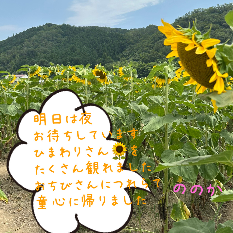 関西の太陽画像