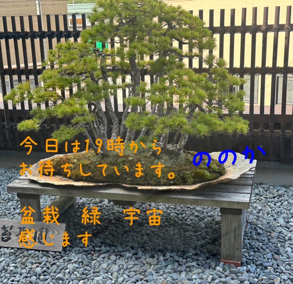 19時開店　画像