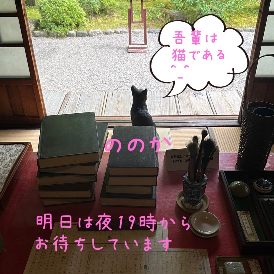 猫画像