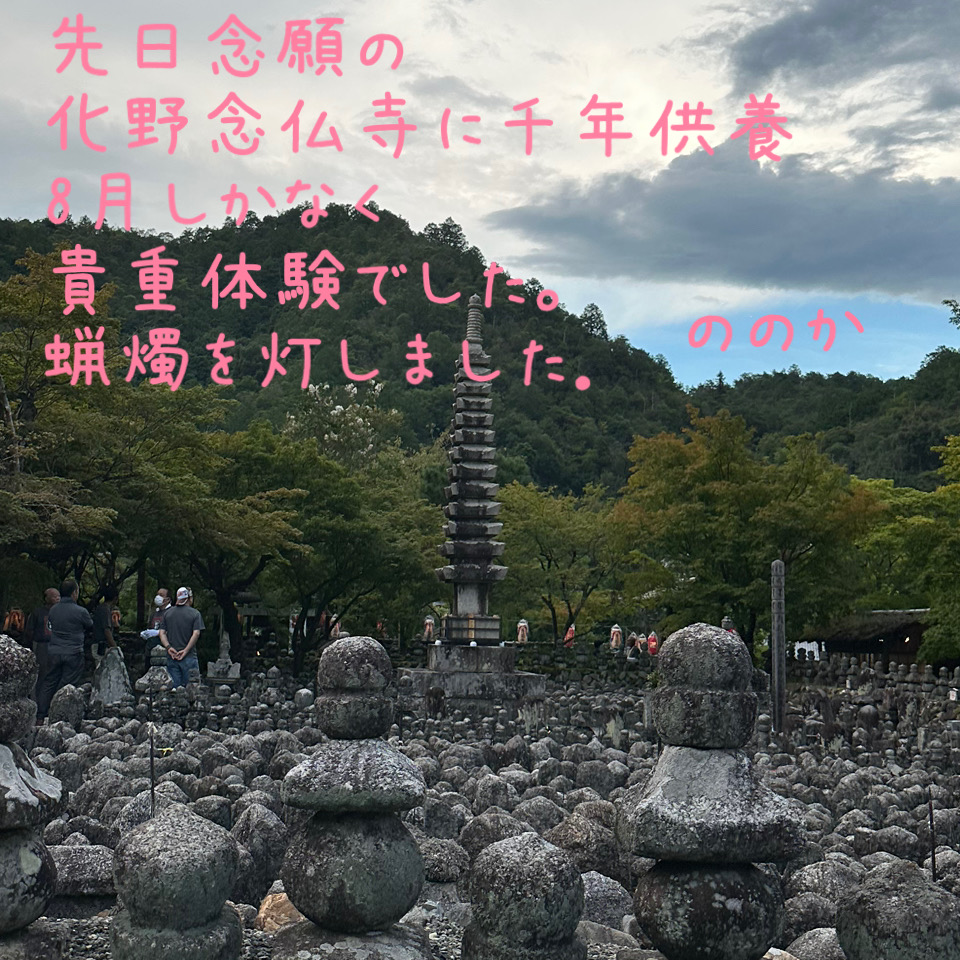 8000基画像