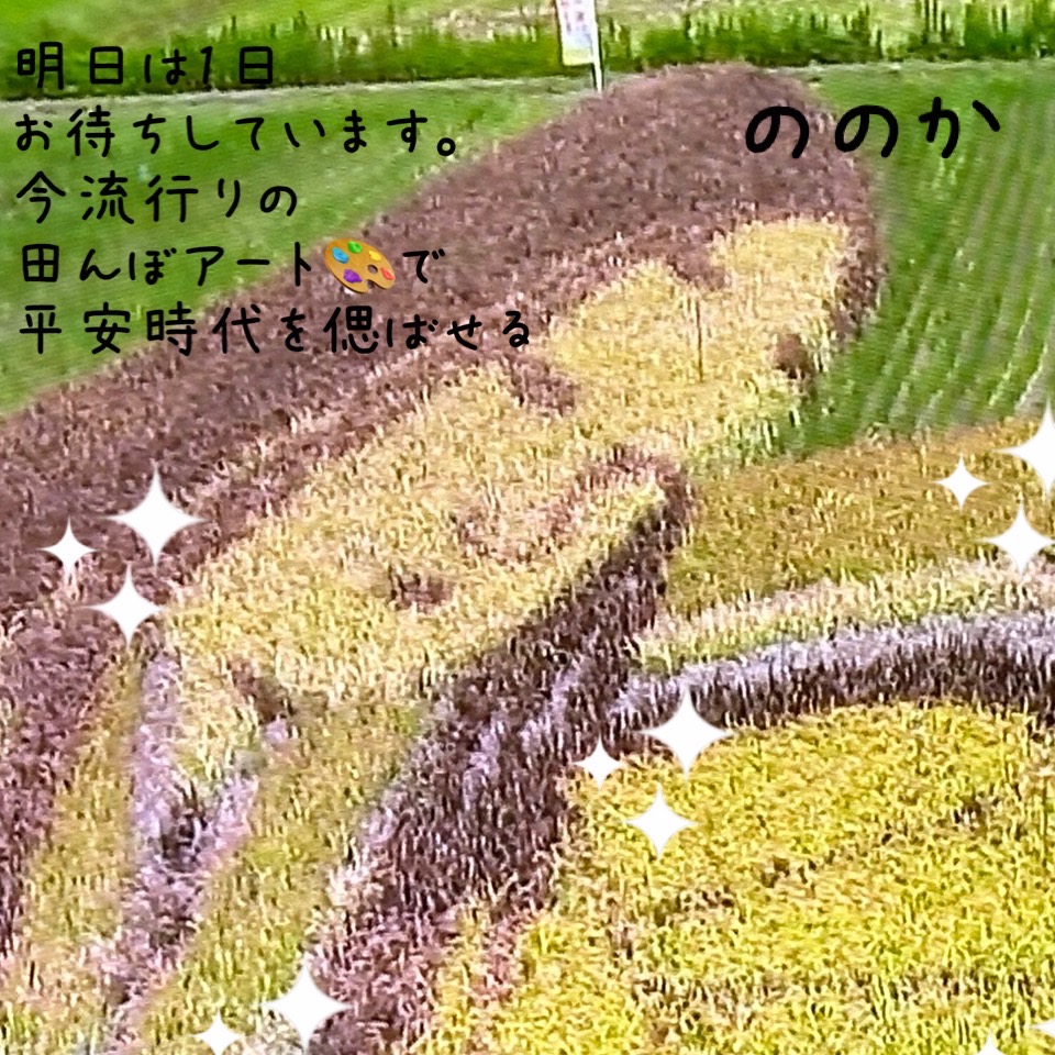 光る田んぼのセンス画像