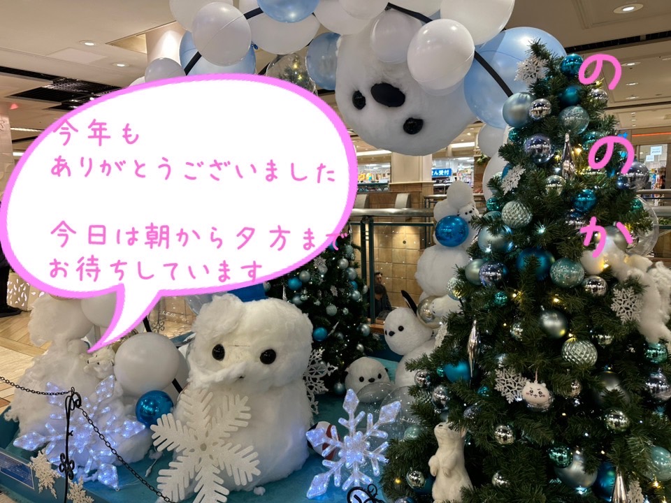 年内ラスト画像
