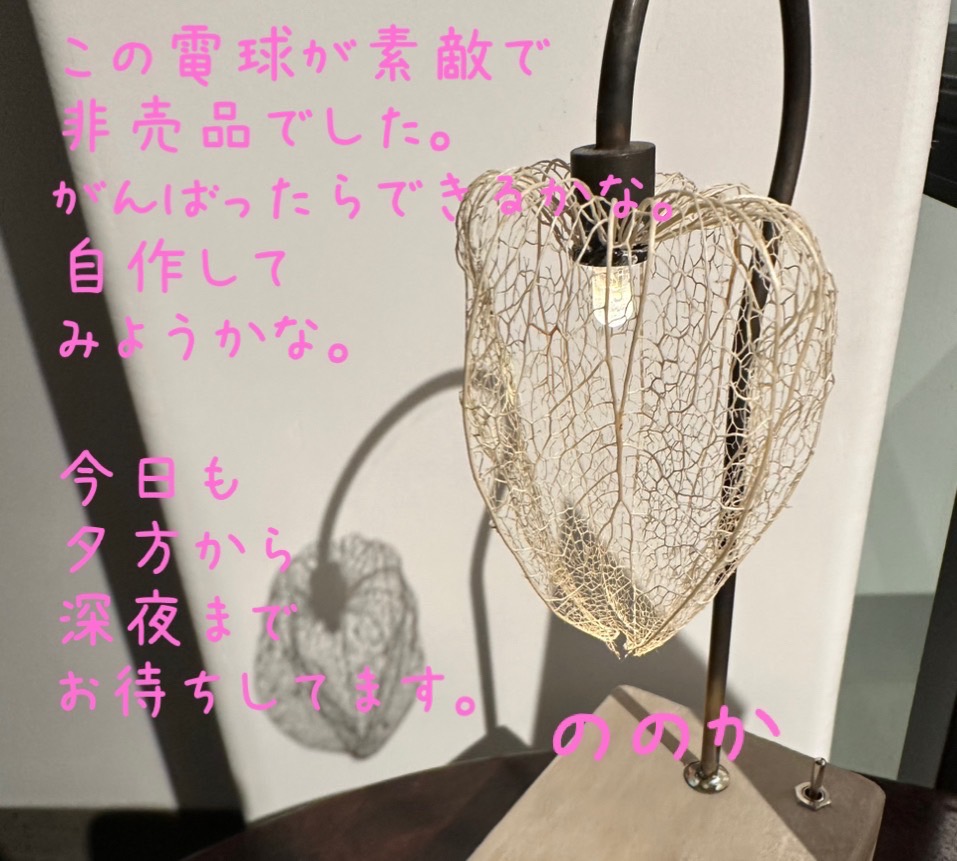 ナチュレ画像