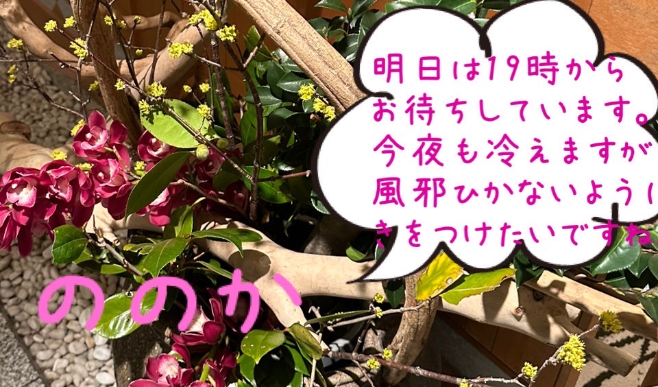 冬花画像