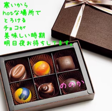 チョコで癒し画像