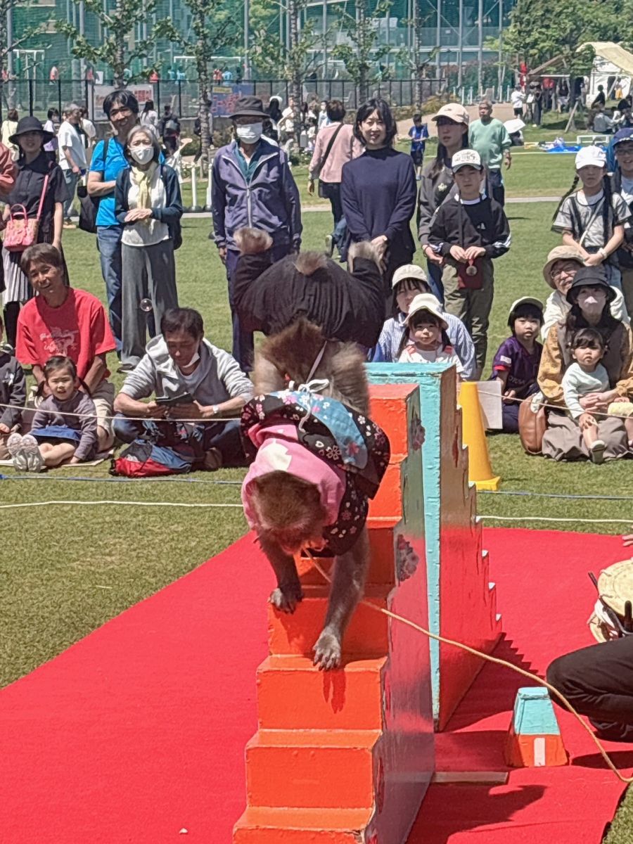 こんにちは画像