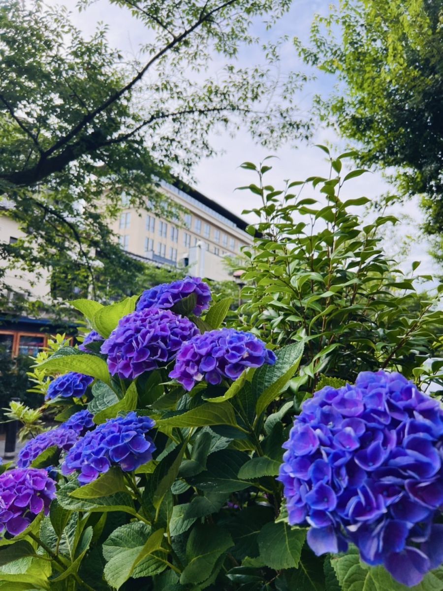 麗子です♡画像