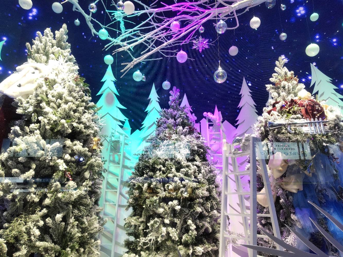 凛です❣️画像