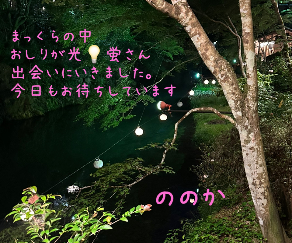 おしり画像