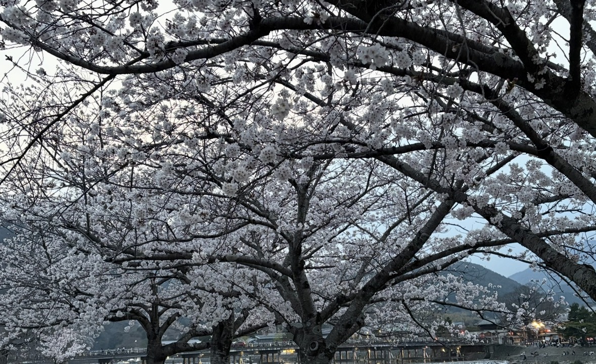 麗子です♡画像