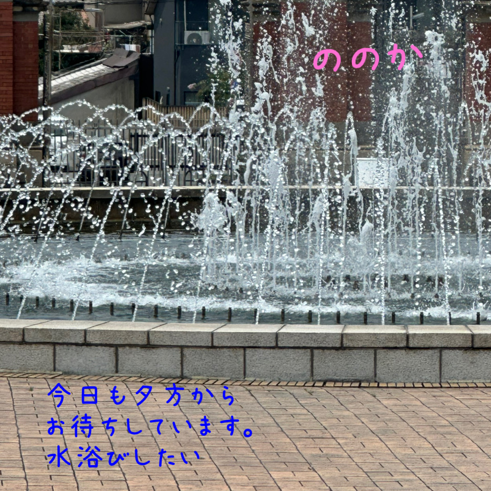 ふんすい画像