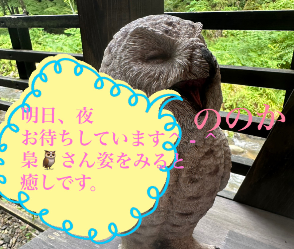ふくふく　梟画像