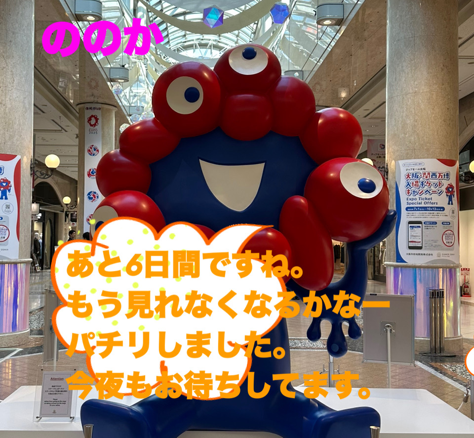 お目目が5つさん画像