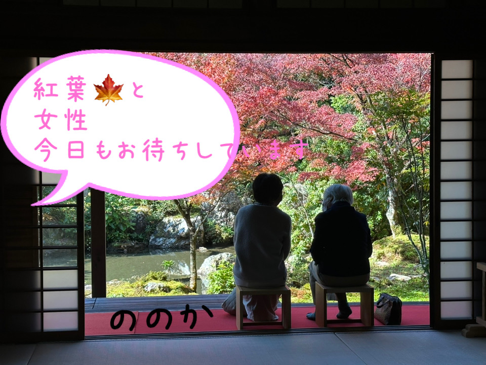 紅葉と婦人画像