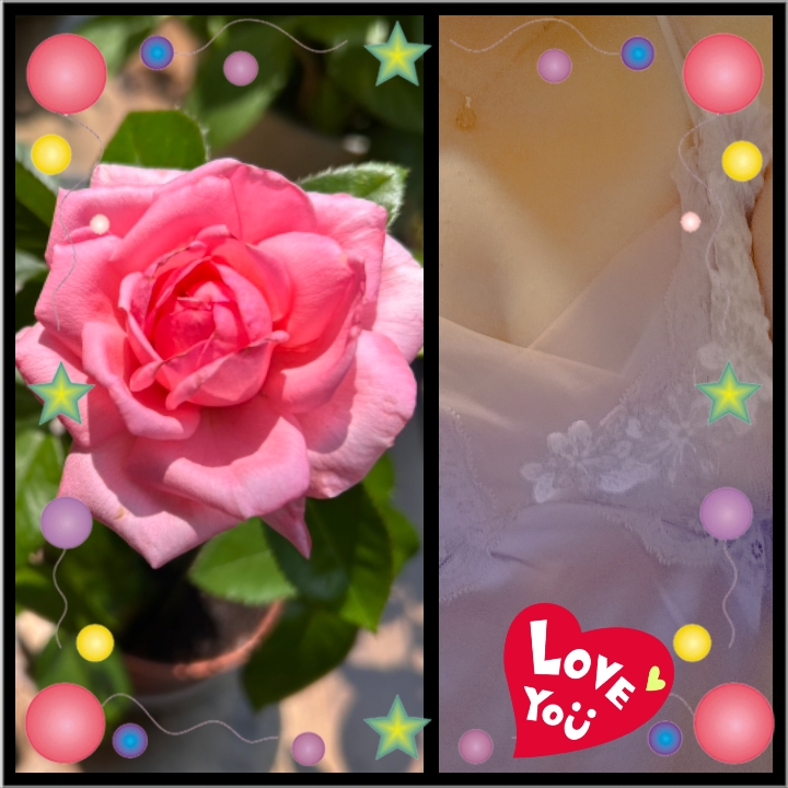 よっぽど良けりゃ一択(*´∇｀*)⤴✨画像
